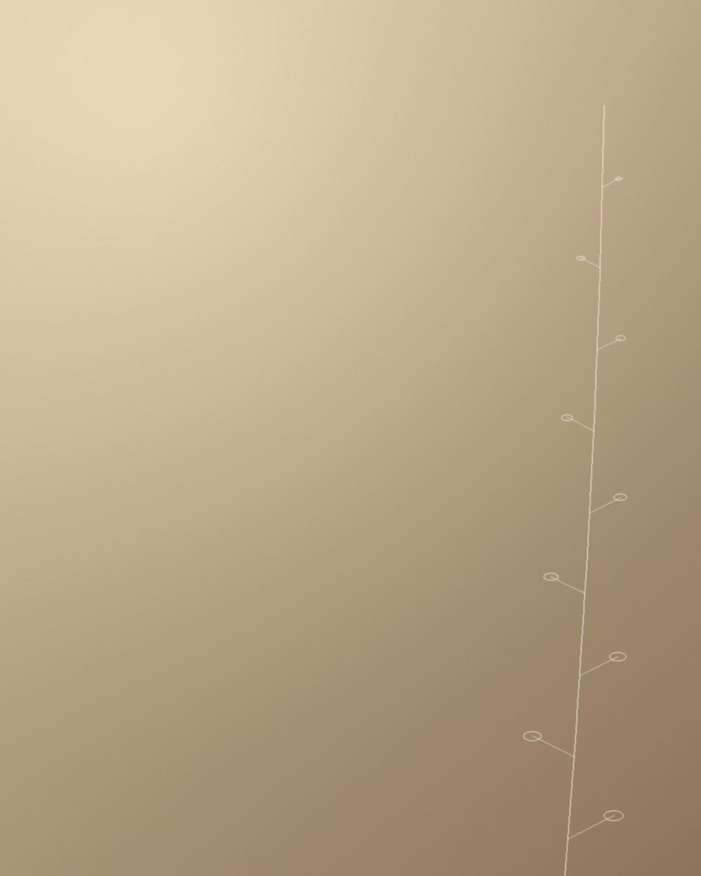 A calm, lived-in room in soft morning light